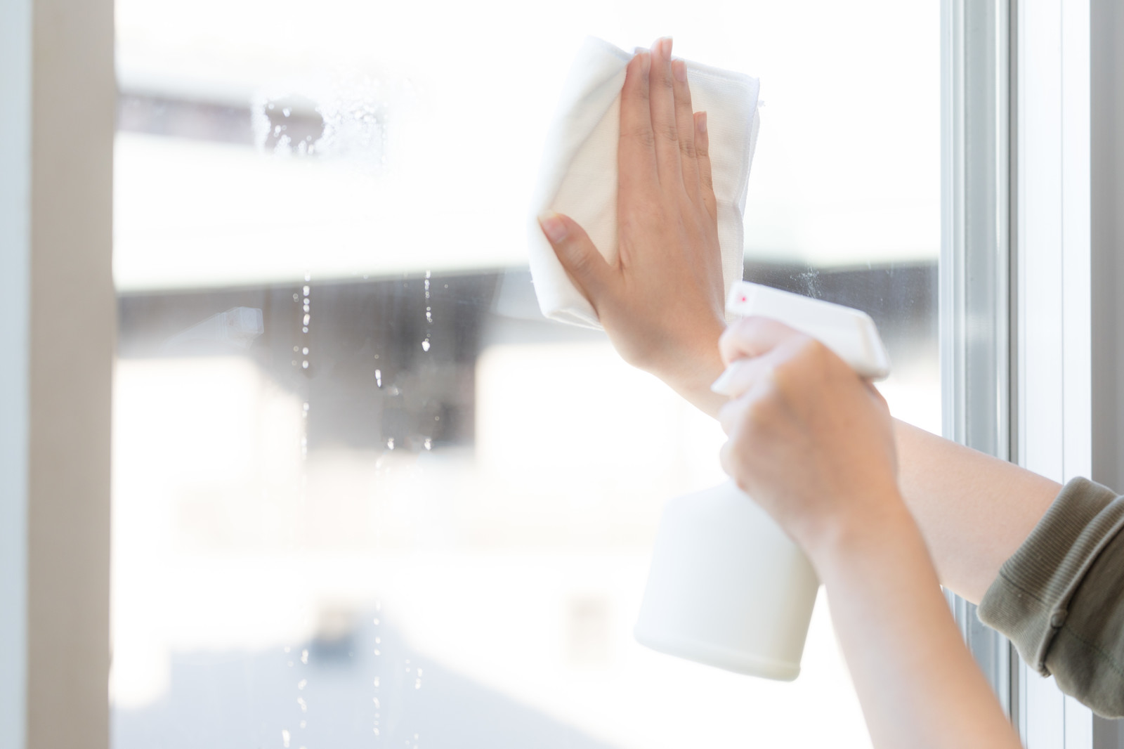 清掃・害虫駆除